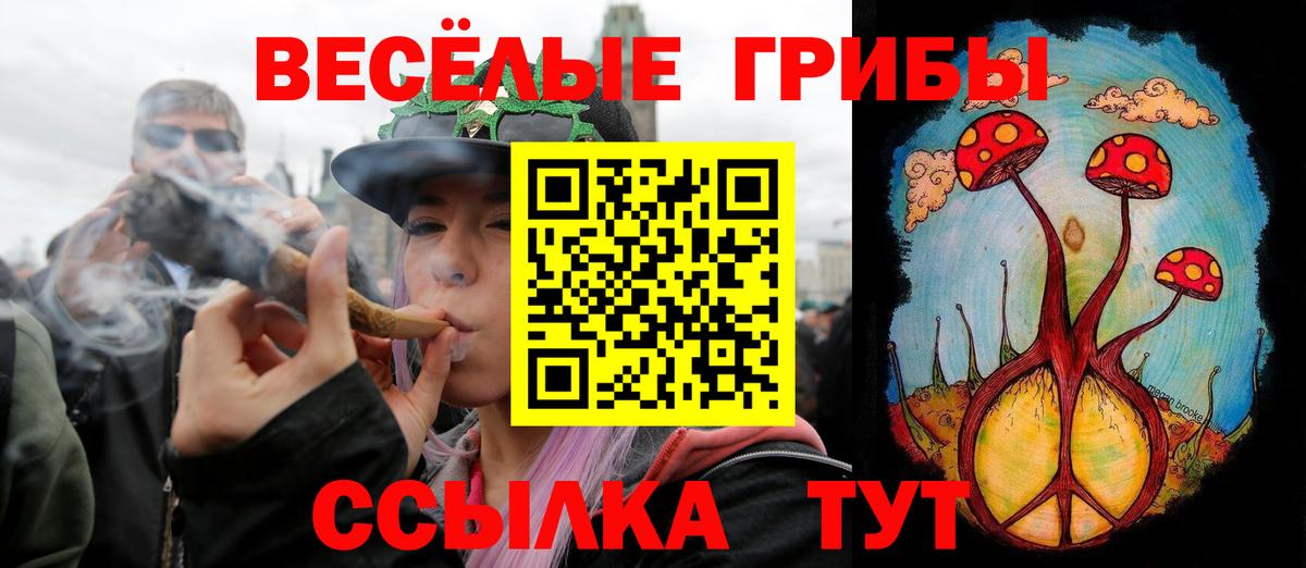 Новочебоксарск  Галлюциногенные грибы Magic Shrooms  Псилоцибиновые грибы GOLDEN TEACHER  Вход с VPN 