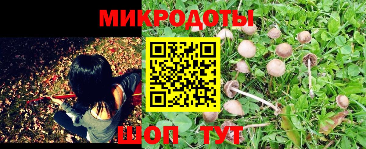 Псилоцибиновые грибы GOLDEN TEACHER Новочебоксарск
